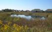 Stocked Pond in Outlot